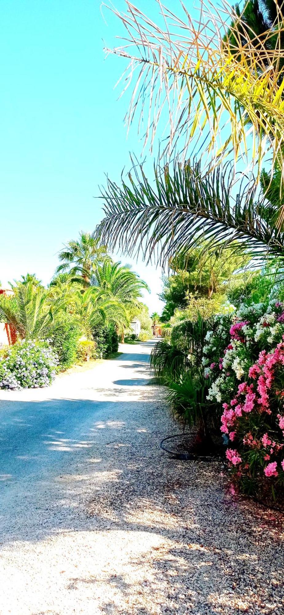 Happymobilhome Argeles-Sur-Mer -Plage A 500M- Camping 4 Etoiles Del Mar Екстер'єр фото